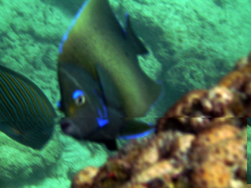 Schnorcheln an der Anse Lazio